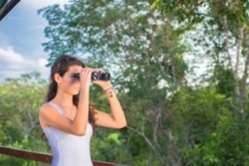 girl viewing birds via binoculars